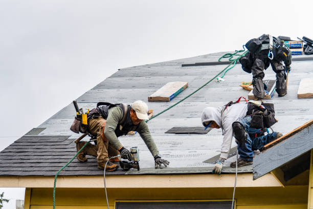 Professional Roofing technician working in Bedias, TX